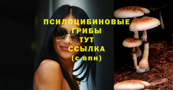 хмурый Армянск
