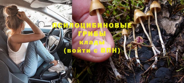 хмурый Армянск