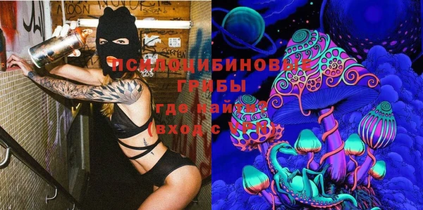 MESCALINE Аркадак