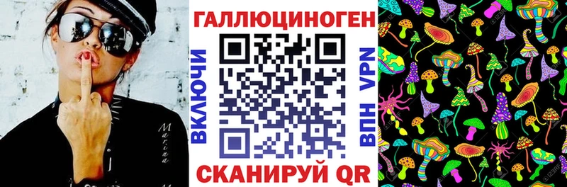 что такое наркотик Долгопрудный Псилоцибиновые грибы GOLDEN TEACHER